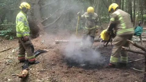 Friends of Havannah Firefighters douse fire