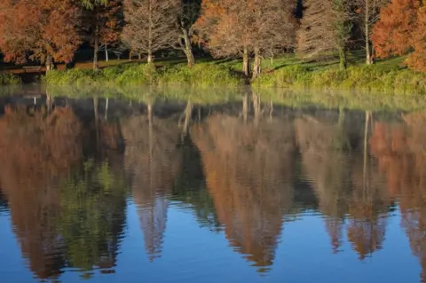 EPA The brown leaves of winter trees are reflected in the waters of the Emmarentia Dam Reservoir in Johannesburg, South Africa, on 30 April.