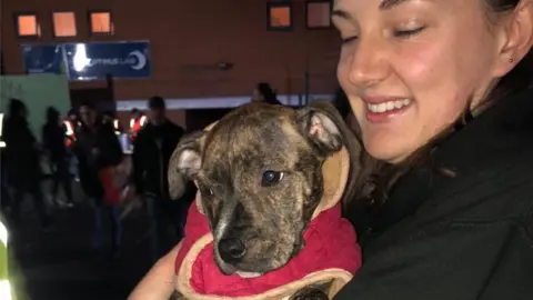 Street Vet Vet with puppy