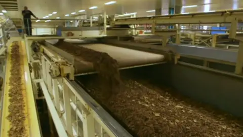 BBC Cigarette factory