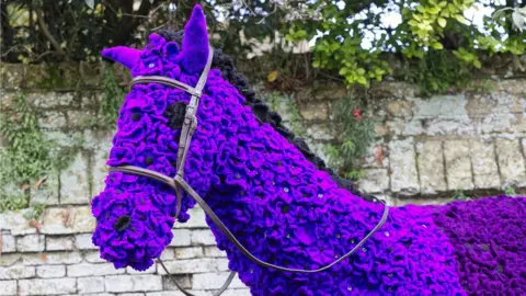 Mandy Wright Poppy covered horse