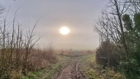 Andy Avery  THURSDAY - Badbury Rings