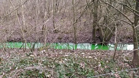 Natural Resources Wales Green river tributary