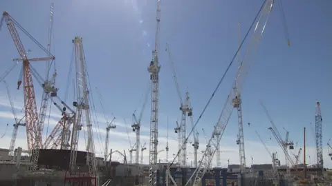 Cranes at Hinkley