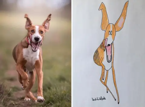 HERCULE VAN WOLFWINKLE Dog portrait