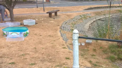 Aylesbury police paddling pools for ducks