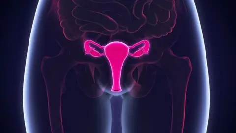 Getty Images The ovaries in a woman's body