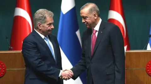 EPA Finland's President Sauli Niinisto and Turkish President Recep Tayyip Erdogan