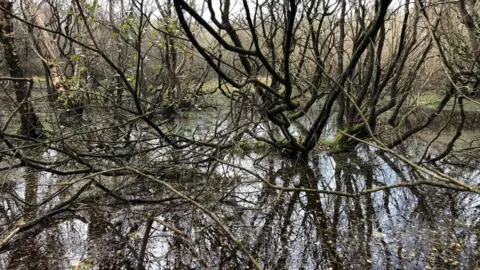 Graham Makepeace-Warne Goshen Nature Reserve