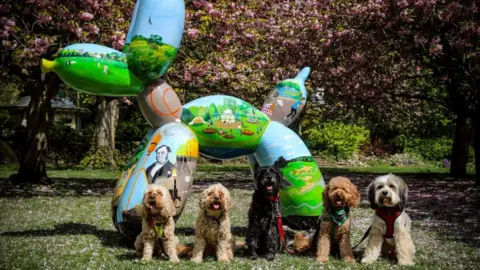 Simon Ward Photography A Swindog with some real life dogs sat next to it