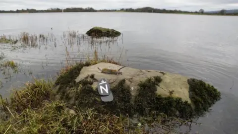 PSNI The remains of a white-tailed Eagle were recovered in Fermanagh