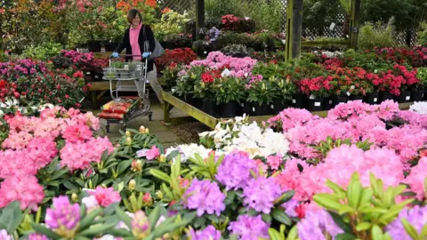 GLYN KIRK/AFP woman in garden centre