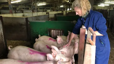 BBC Pig and poultry farmer Sophie Hope says she has periods of feeling low, worrying about her business