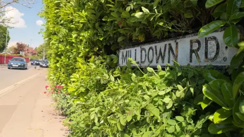 A street sign reading Mildown Rd surrounded by greenery. There are cars on the street. It is a sunny day.