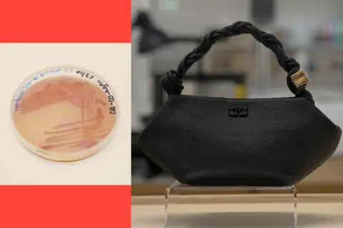 Bacteria successful  a petri-dish is 1  fractional  of the image; a tiny  achromatic  handbag connected  a transparent basal   makes up   the 2nd  half