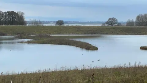 Former quarry near Brightlingsea