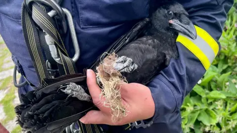 KATE FOX A close up of the Raven being held by a coastguard.