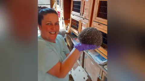 Suzanne Tibbetts Suzanne Tibbetts is smiling at the camera with her hands outstretched holding a spherical shape covered in spikes, a hedgehog, The mammals hands, feet and face are all tucked away so only its prickly back can be seen. Mrs Tibbetts is holding the hedgehog while wearing pink gloves and a short-sleeve blue t-shirt. She had dark hair which has been tied up into a bun at the top of her head. Behind her six wooden huts can been see where rescued hedgehogs are kept. 