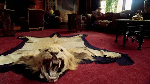 Getty Images The skin of a lion, its mouth open in a roar, is spread out on a deep red carpet in a room inside the castle.