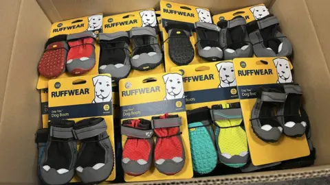 Insaf Abbas A box filled with different coloured protective boots for dogs