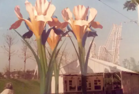 Catherine Craig Glasgow Garden Festival