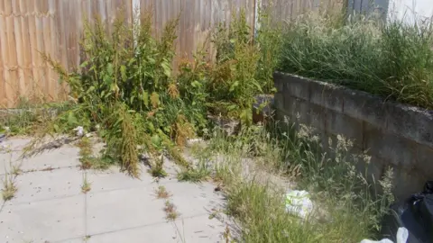Telford and Wrekin Council Overgrown garden