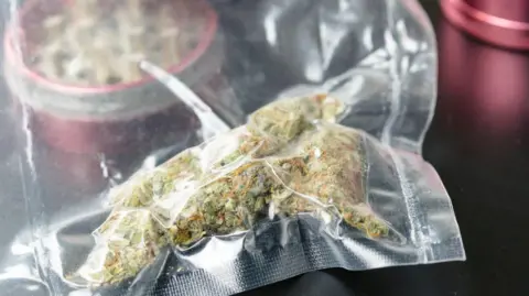Close up of medical marijuana buds in vacuum seal bags and grinder. Cannabis is a concept of herbal or alternative medicine.