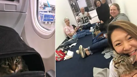 Jannifer Lee An image of a cat in a box on a plane, and another of Ms Lee posing with the cat and other passengers in the terminal