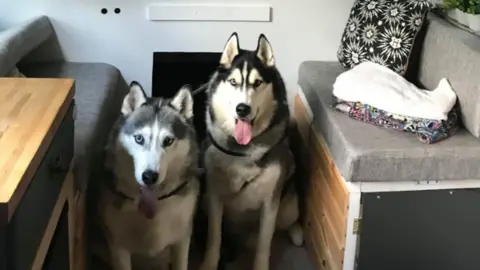 Jennifer McKenchie Dogs