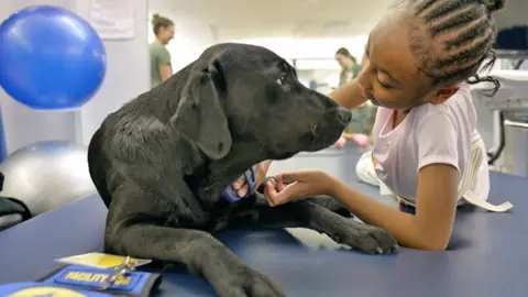 Getty Images Therapy dog