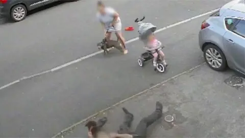 Woman and young child being attacked by dog