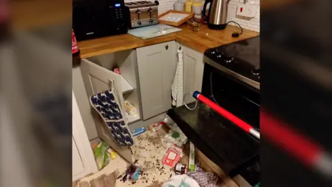House destroyed by badger
