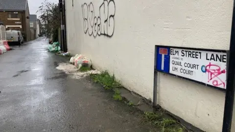 Elm Street Lane, in Roath