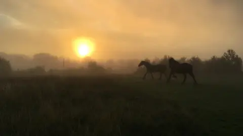 Jamie Lisa Smith Sunrise