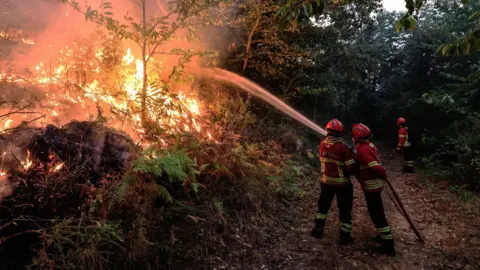 Firefighters at work during a forest fire in Bornes de Aguiar, Portugal