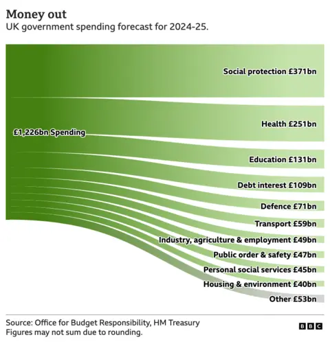 Chart showing the £1,226bn expected to be spent by government this year.