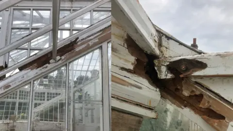 National Trust Glasshouse