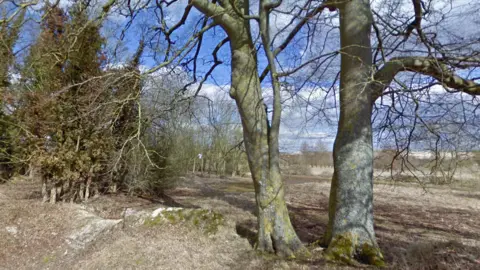 Google site of proposed incinerator