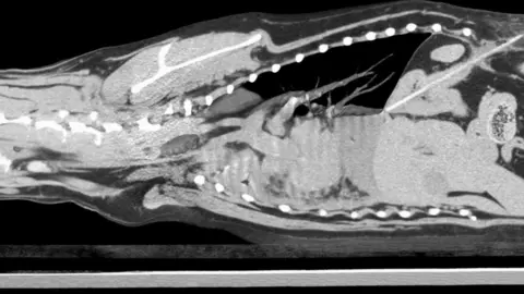 Dick White Referrals scan
