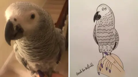 Hercule Van Wolfwinkle Cartoon of parrot