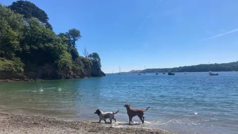 River Helford