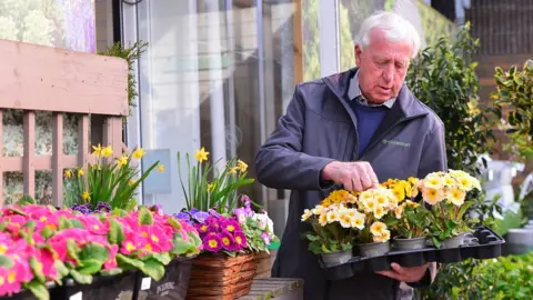 Pacemaker An older man with grey hair looking at and organising a tray of yellow flowers he is holding in his hand, while standing in a garden centre