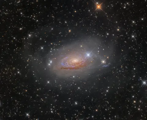 Oleg Bryzgalov An image of Star Streams and the Sunflower Galaxy.