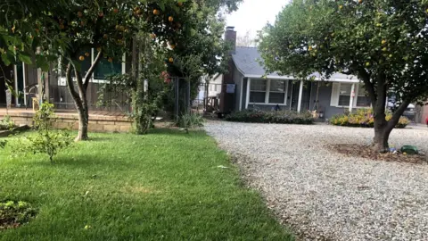 Christine Ro Neighbouring front yards in Granada Hills, California