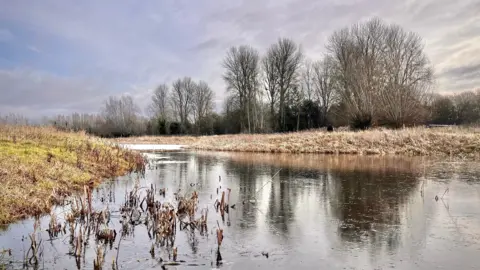 Walking Tractor/BBC Weather Watchers A small lake is going across the middle of the image and is in between two fields. The land on the right has multiple tall trees which have no leaves on them. The grass is white from frost. 