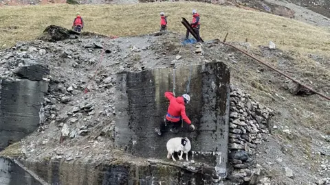 PAtterdale Mountain Rescue Team Sheep rescue