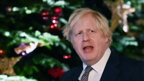 EPA Boris Johnson in front of a Christmas tree