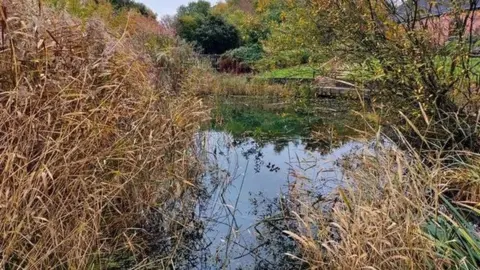 Oadby and Wigston Borough Council The park