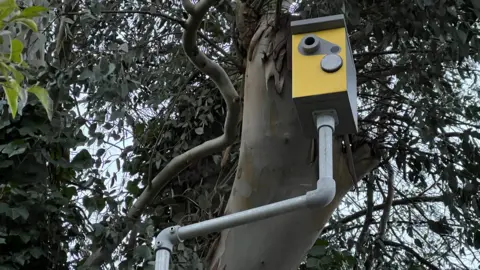 Stuart Woodward/BBC A fake speed camera overlooking a road in High Garrett, Essex.