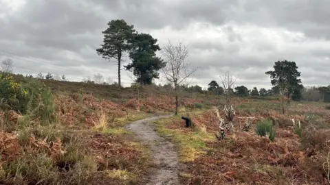 hfarenden Sandhurst - THURSDAY